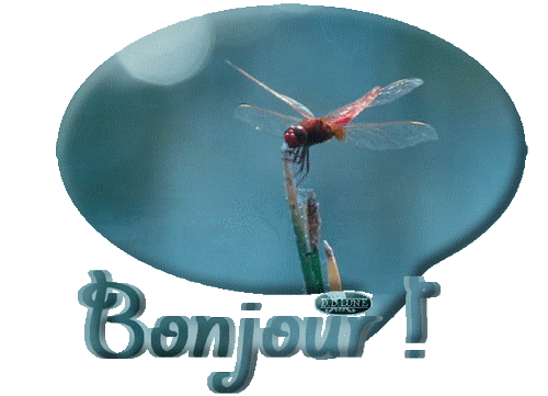 Jeudi 30 juin 2423d5de