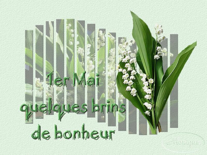 muguet porte-bonheur